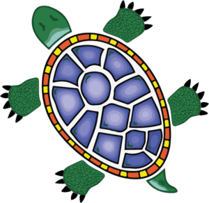 Painted Turtle Renovations Logo